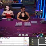 Cách soi cầu Baccarat