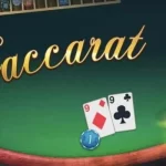 những nhà cái Baccarat uy tín